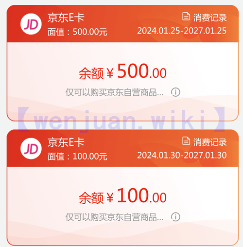 两张面值分别为500元、100元的京东E卡