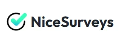 NiceSurveys