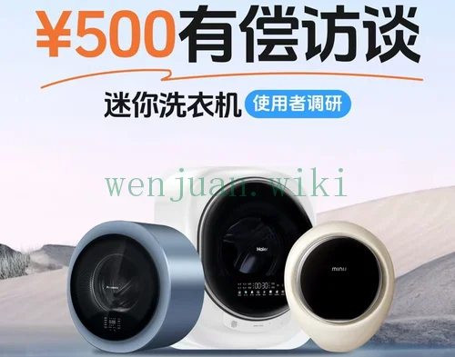 迷你洗衣机用户上门调研